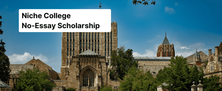 Niche College No-Essay Scholarship